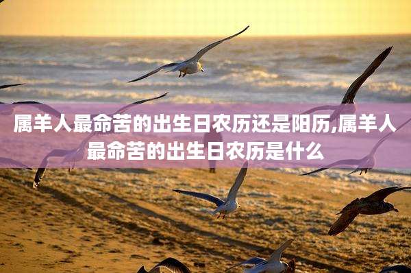 属羊人最命苦的出生日农历还是阳历,属羊人最命苦的出生日农历是什么