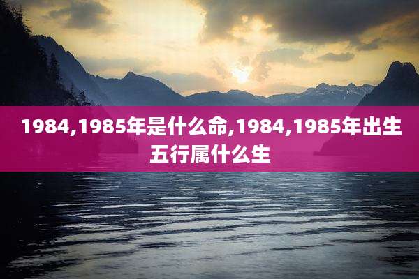 1984,1985年是什么命,1984,1985年出生五行属什么生