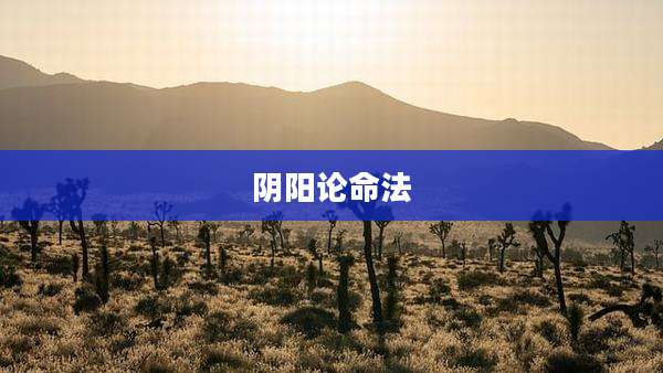 阴阳论命法