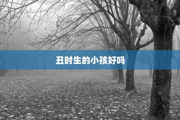丑时生的小孩好吗