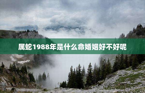 属蛇1988年是什么命婚姻好不好呢