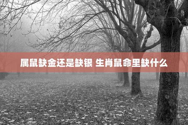 属鼠缺金还是缺银 生肖鼠命里缺什么