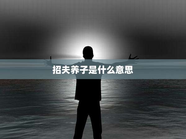招夫养子是什么意思