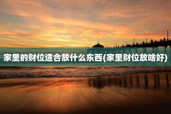 家里的财位适合放什么东西(家里财位放啥好)