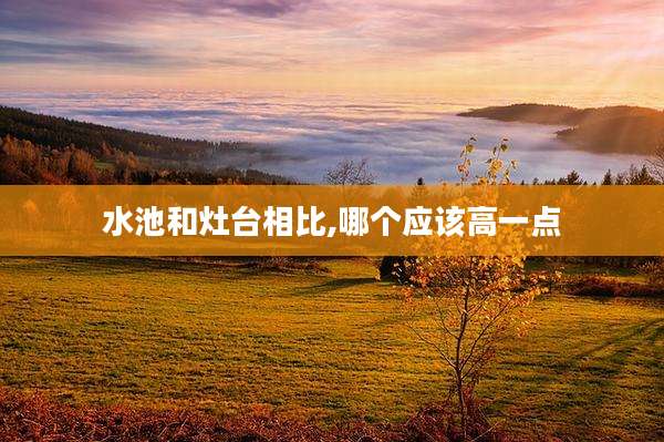 水池和灶台相比,哪个应该高一点