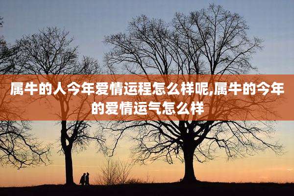 属牛的人今年爱情运程怎么样呢,属牛的今年的爱情运气怎么样