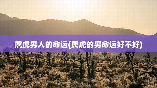 属虎男人的命运(属虎的男命运好不好)