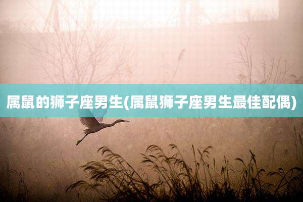 属鼠的狮子座男生(属鼠狮子座男生最佳配偶)