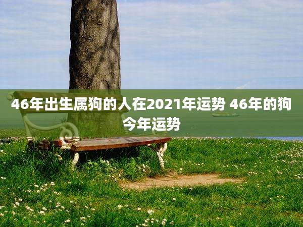 46年出生属狗的人在2021年运势 46年的狗今年运势