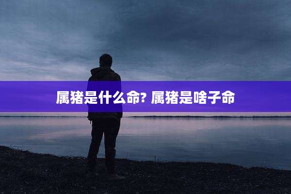 属猪是什么命? 属猪是啥子命