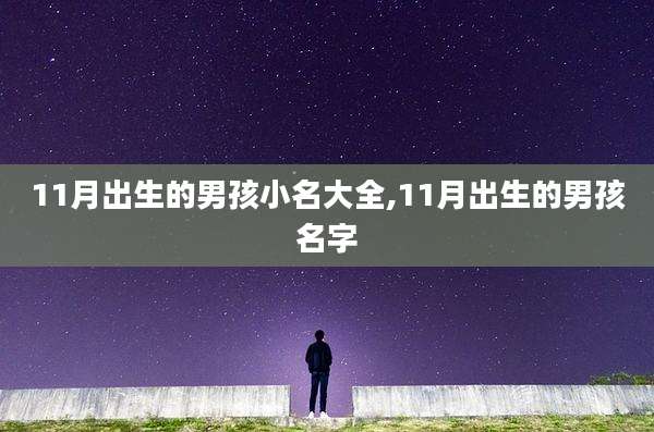 11月出生的男孩小名大全,11月出生的男孩名字