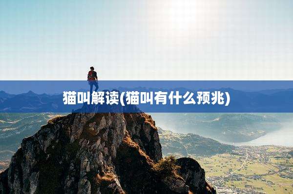猫叫解读(猫叫有什么预兆)