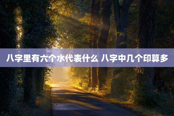 八字里有六个水代表什么 八字中几个印算多