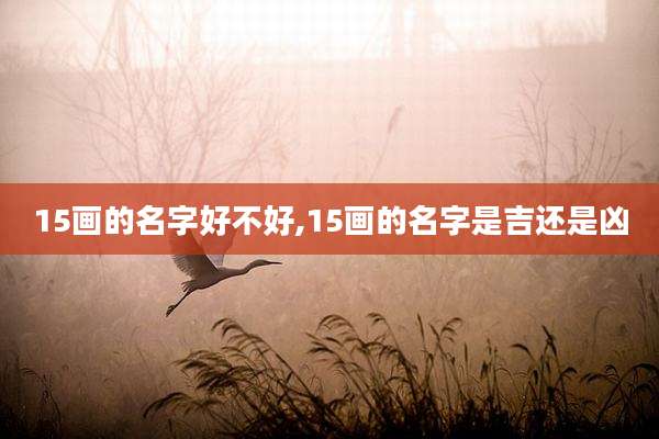 15画的名字好不好,15画的名字是吉还是凶