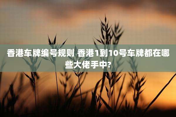 香港车牌编号规则 香港1到10号车牌都在哪些大佬手中?