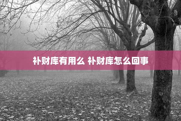 补财库有用么 补财库怎么回事