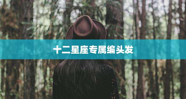 十二星座专属编头发