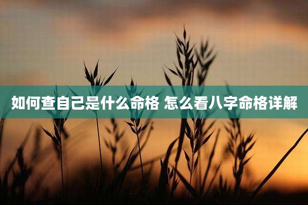 如何查自己是什么命格 怎么看八字命格详解