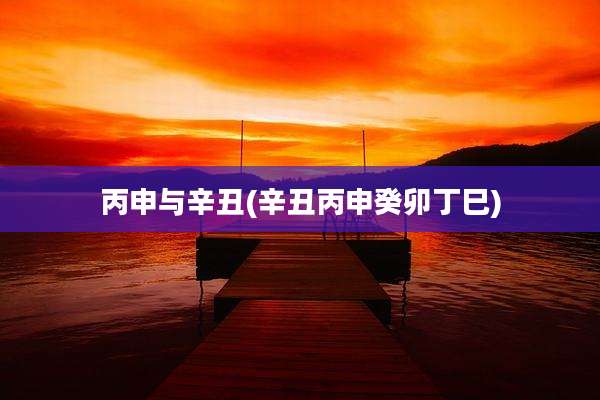 丙申与辛丑(辛丑丙申癸卯丁巳)