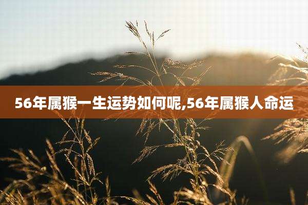 56年属猴一生运势如何呢,56年属猴人命运