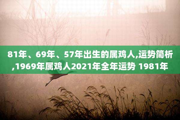 81年、69年、57年出生的属鸡人,运势简析,1969年属鸡人2021年全年运势 1981年