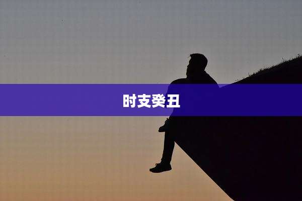 时支癸丑
