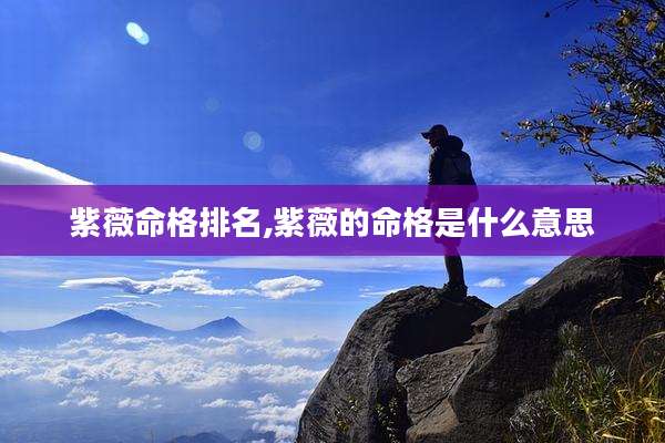 紫薇命格排名,紫薇的命格是什么意思