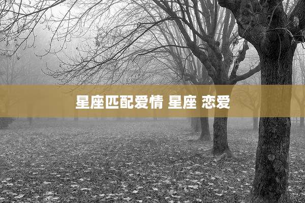 星座匹配爱情 星座 恋爱