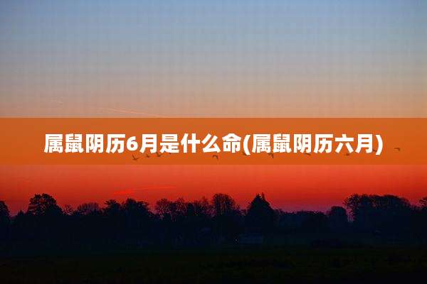 属鼠阴历6月是什么命(属鼠阴历六月)