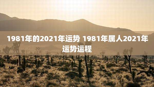 1981年的2021年运势 1981年属人2021年运势运程