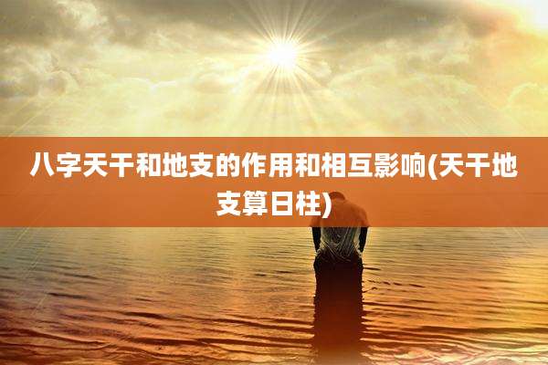 八字天干和地支的作用和相互影响(天干地支算日柱)