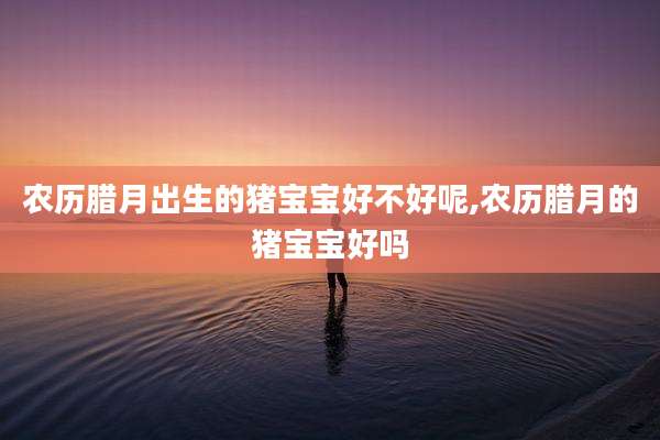 农历腊月出生的猪宝宝好不好呢,农历腊月的猪宝宝好吗
