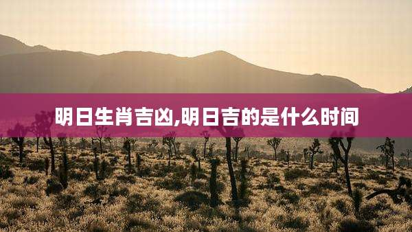 明日生肖吉凶,明日吉的是什么时间