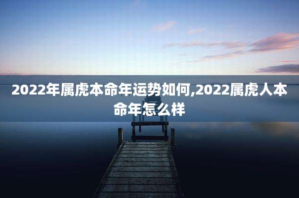 2022年属虎本命年运势如何,2022属虎人本命年怎么样