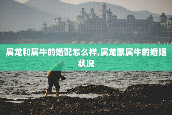 属龙和属牛的婚配怎么样,属龙跟属牛的婚姻状况