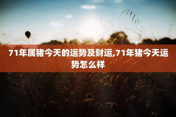 71年属猪今天的运势及财运,71年猪今天运势怎么样