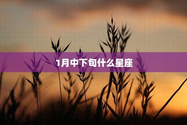 1月中下旬什么星座