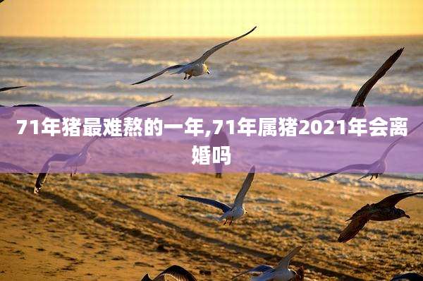 71年猪最难熬的一年,71年属猪2021年会离婚吗