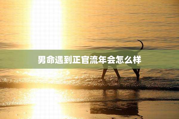 男命遇到正官流年会怎么样