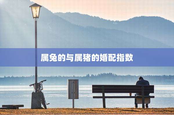 属兔的与属猪的婚配指数