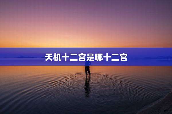 天机十二宫是哪十二宫