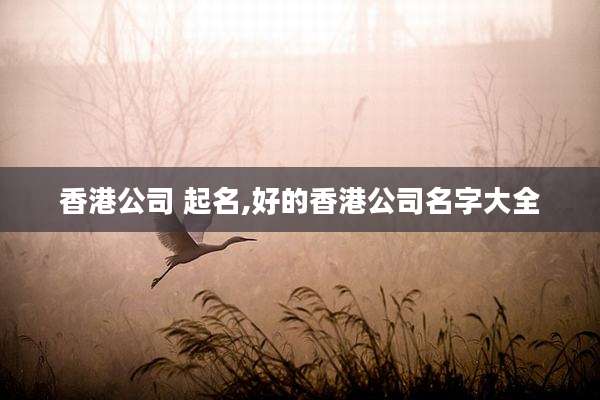 香港公司 起名,好的香港公司名字大全
