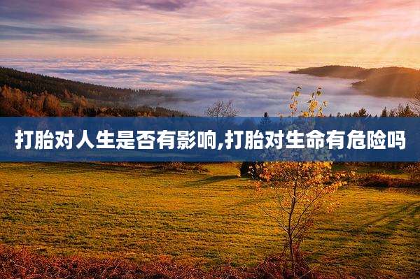 打胎对人生是否有影响,打胎对生命有危险吗