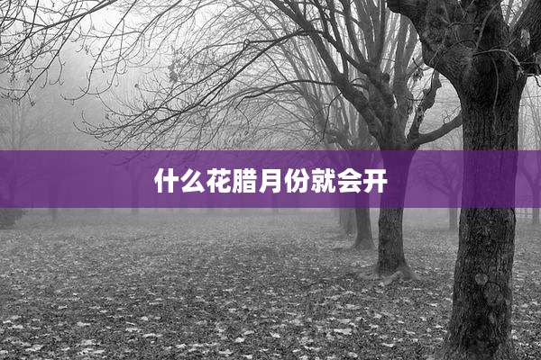 什么花腊月份就会开