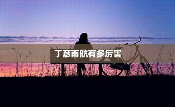丁彦雨航有多厉害