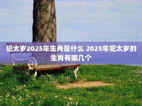 犯太岁2025年生肖是什么 2025年犯太岁的生肖有哪几个