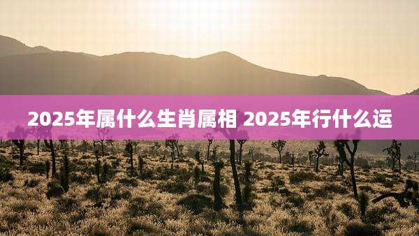 2025年属什么生肖属相 2025年行什么运