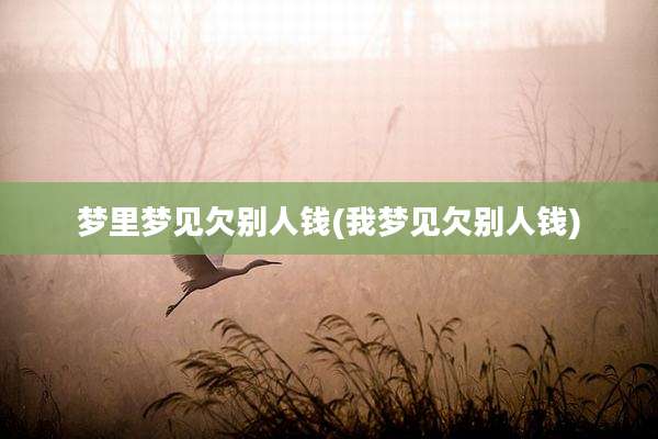 梦里梦见欠别人钱(我梦见欠别人钱)