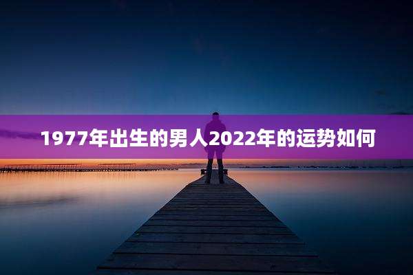 1977年出生的男人2022年的运势如何