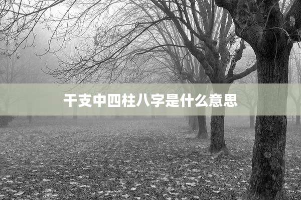 干支中四柱八字是什么意思
